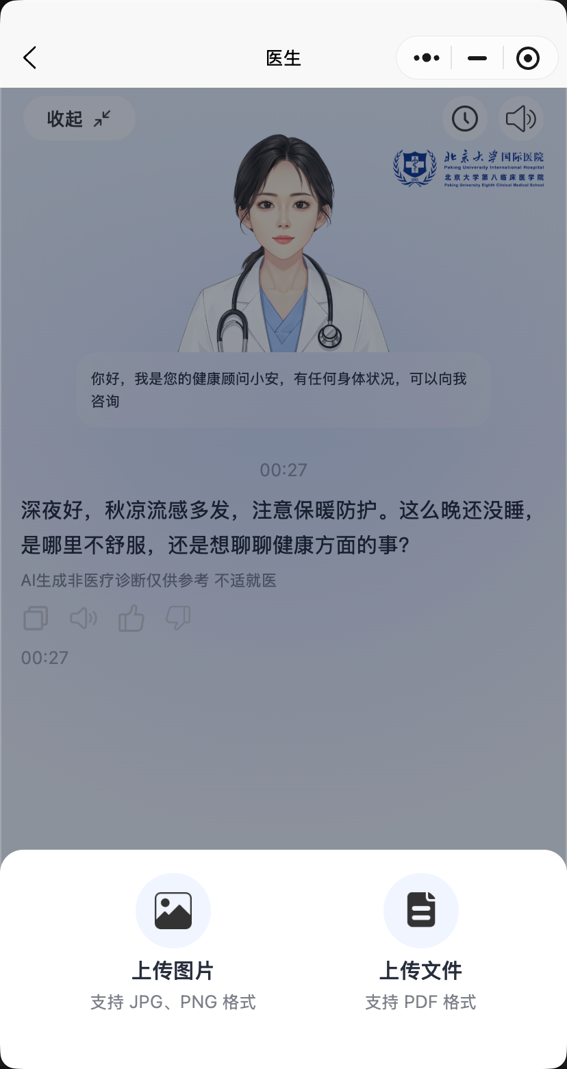 语音输入与文件上传界面
